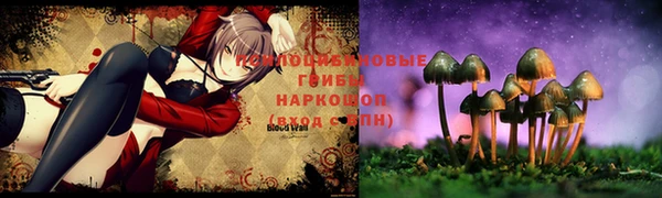гидропоника Медвежьегорск