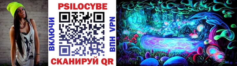 MEGA ССЫЛКА купить Балашов Псилоцибиновые грибы Psilocybe