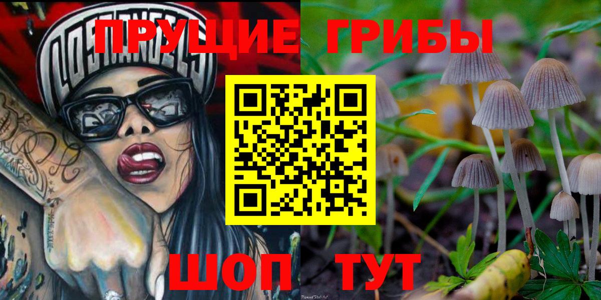 Балашов  что такое наркотик  Вход с VPN  Псилоцибиновые грибы Magic Shrooms 