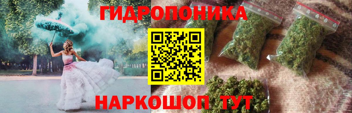 Балашов  Бошки марихуана планчик  Шишки марихуана семена  Вход с VPN 